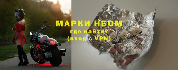 ГАЛЛЮЦИНОГЕННЫЕ ГРИБЫ Гусь-Хрустальный