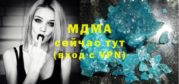 шишки Гусев