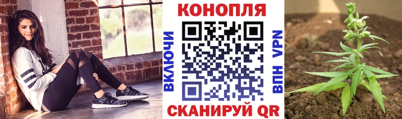 Шишки марихуана VHQ  Купить закладки  Приволжск 